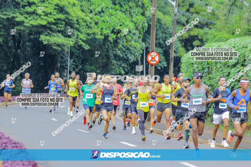 Decathlon Run Londrina