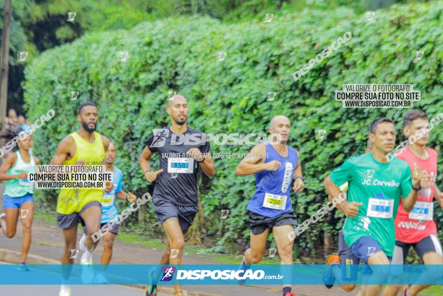 Decathlon Run Londrina