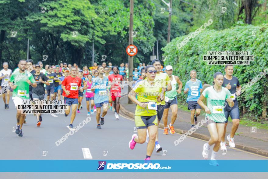 Decathlon Run Londrina