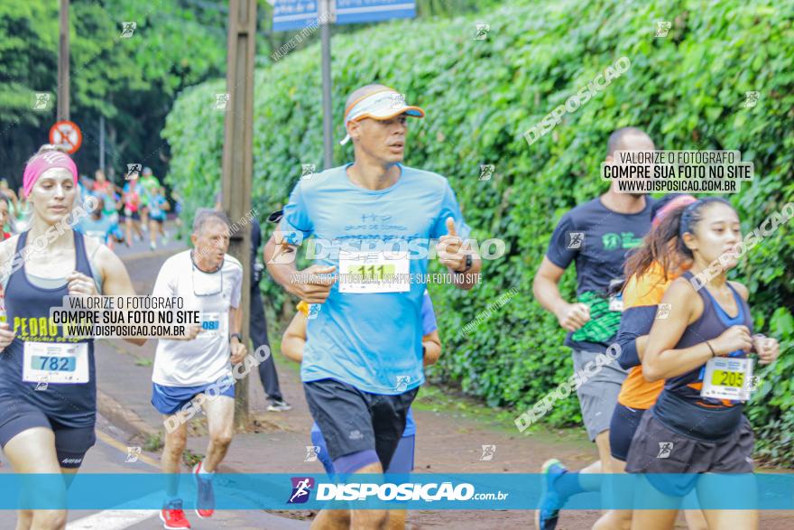 Decathlon Run Londrina