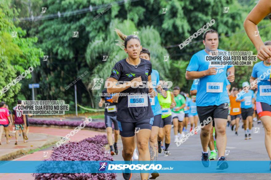 Decathlon Run Londrina