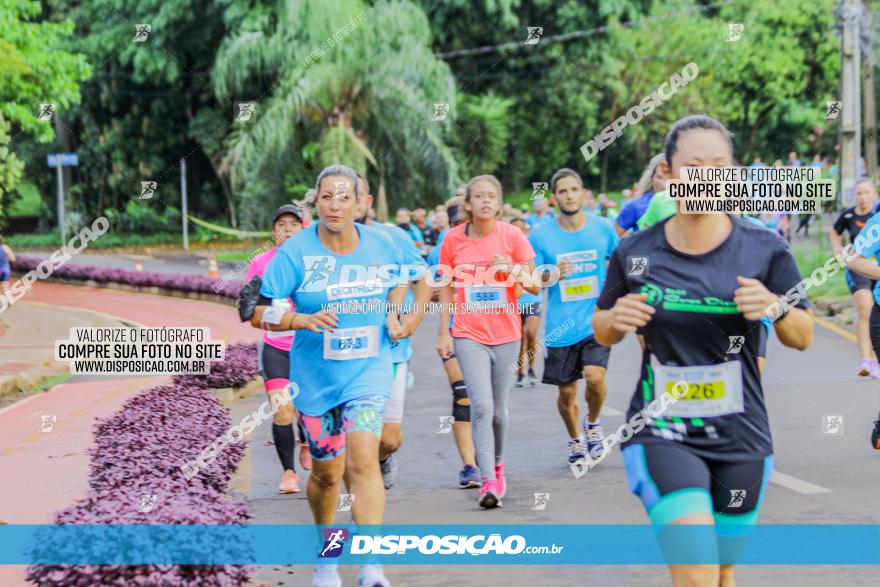 Decathlon Run Londrina