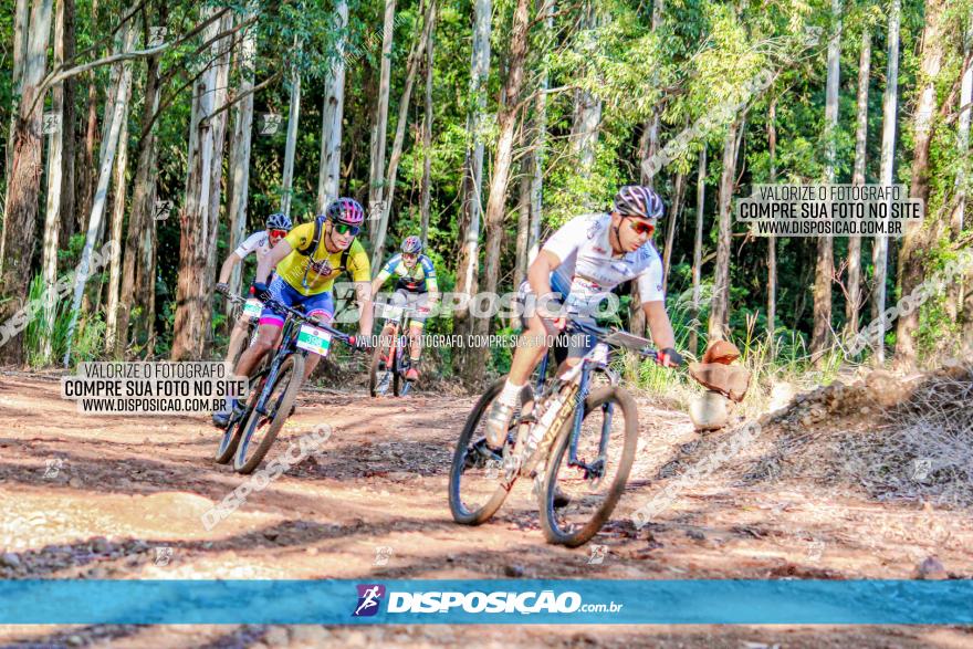 II GP Jandaia do Sul de Mountain Bike