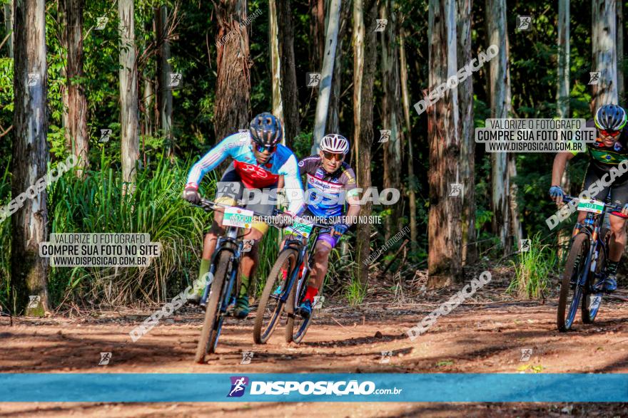 II GP Jandaia do Sul de Mountain Bike