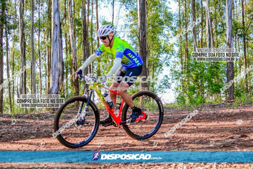 II GP Jandaia do Sul de Mountain Bike