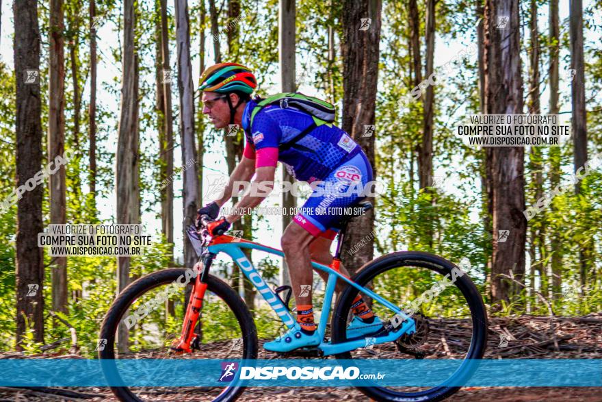 II GP Jandaia do Sul de Mountain Bike