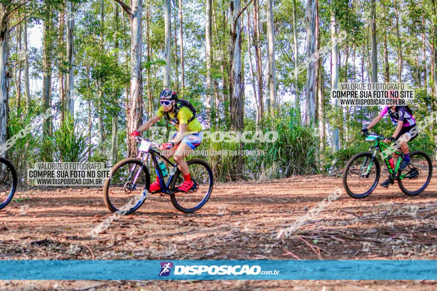 II GP Jandaia do Sul de Mountain Bike