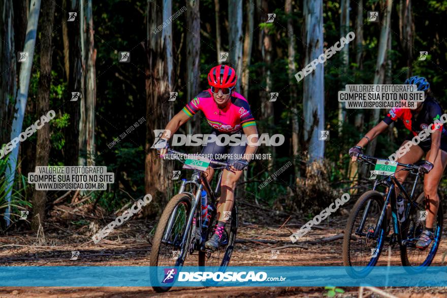 II GP Jandaia do Sul de Mountain Bike