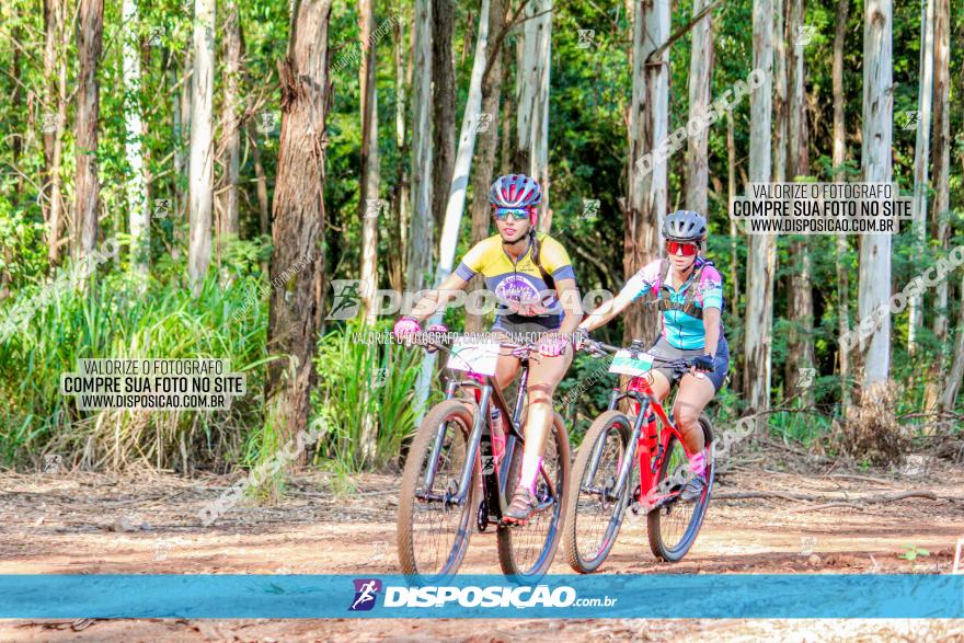 II GP Jandaia do Sul de Mountain Bike