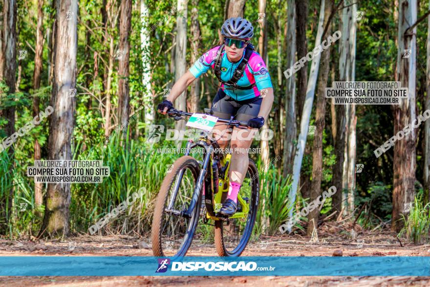 II GP Jandaia do Sul de Mountain Bike