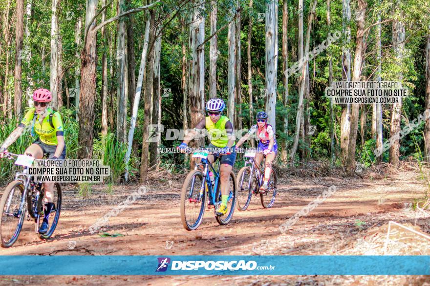 II GP Jandaia do Sul de Mountain Bike