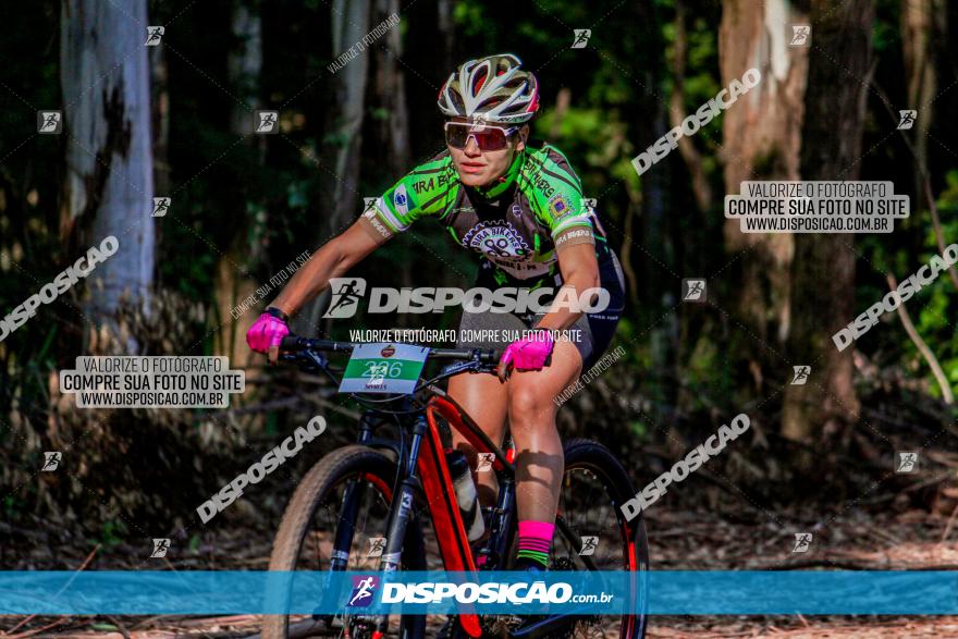 II GP Jandaia do Sul de Mountain Bike