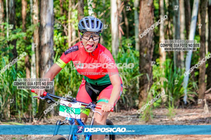 II GP Jandaia do Sul de Mountain Bike