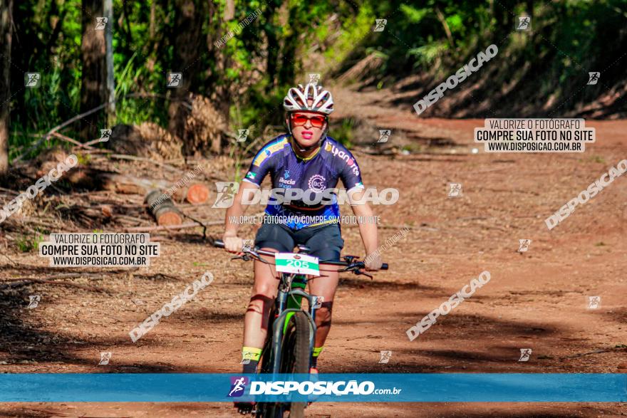 II GP Jandaia do Sul de Mountain Bike