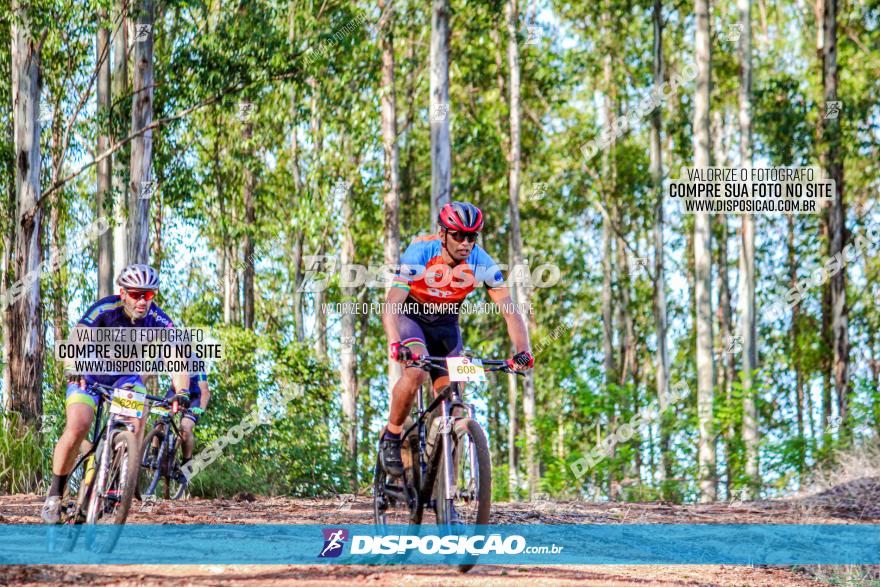 II GP Jandaia do Sul de Mountain Bike