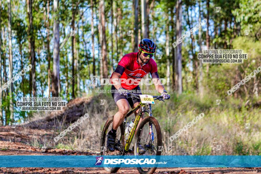 II GP Jandaia do Sul de Mountain Bike