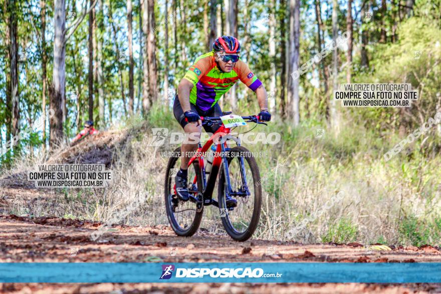 II GP Jandaia do Sul de Mountain Bike