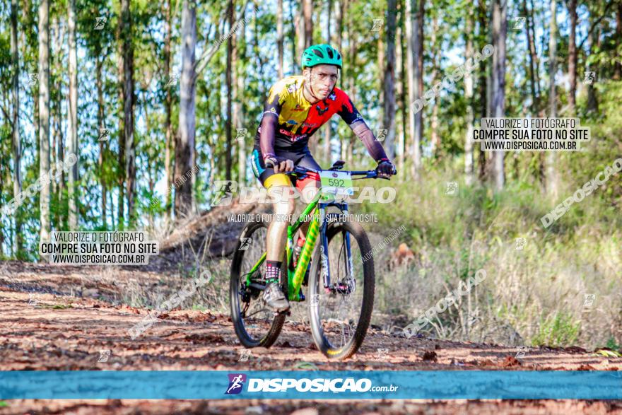 II GP Jandaia do Sul de Mountain Bike