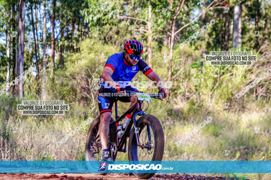 II GP Jandaia do Sul de Mountain Bike