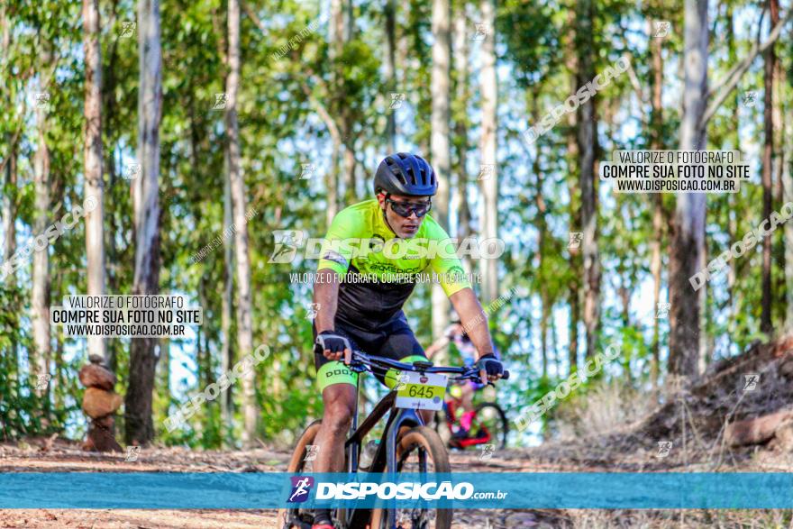 II GP Jandaia do Sul de Mountain Bike