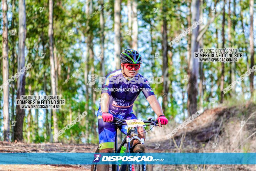 II GP Jandaia do Sul de Mountain Bike