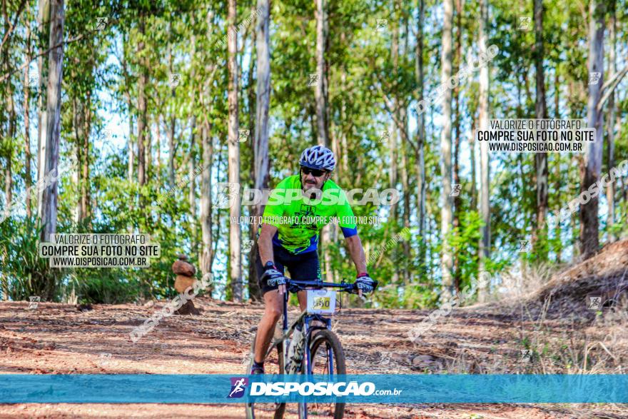 II GP Jandaia do Sul de Mountain Bike