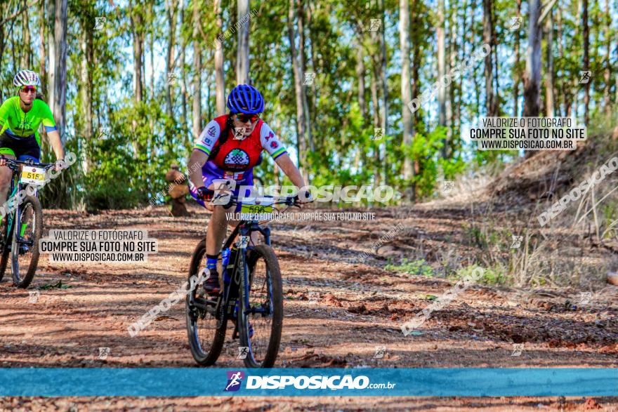 II GP Jandaia do Sul de Mountain Bike