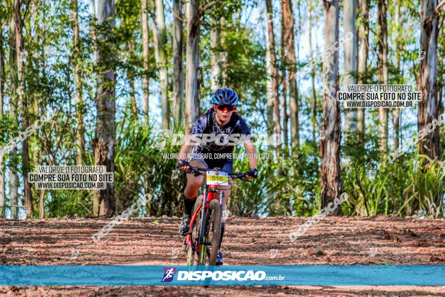 II GP Jandaia do Sul de Mountain Bike