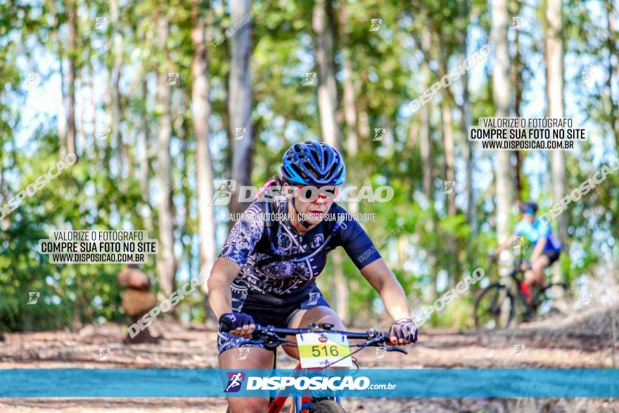 II GP Jandaia do Sul de Mountain Bike