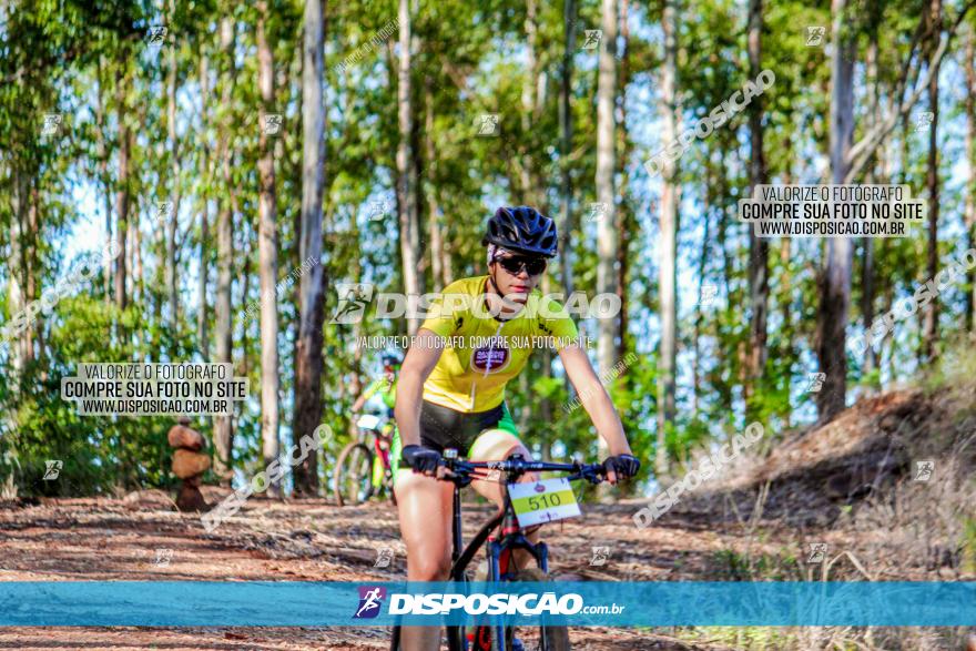 II GP Jandaia do Sul de Mountain Bike