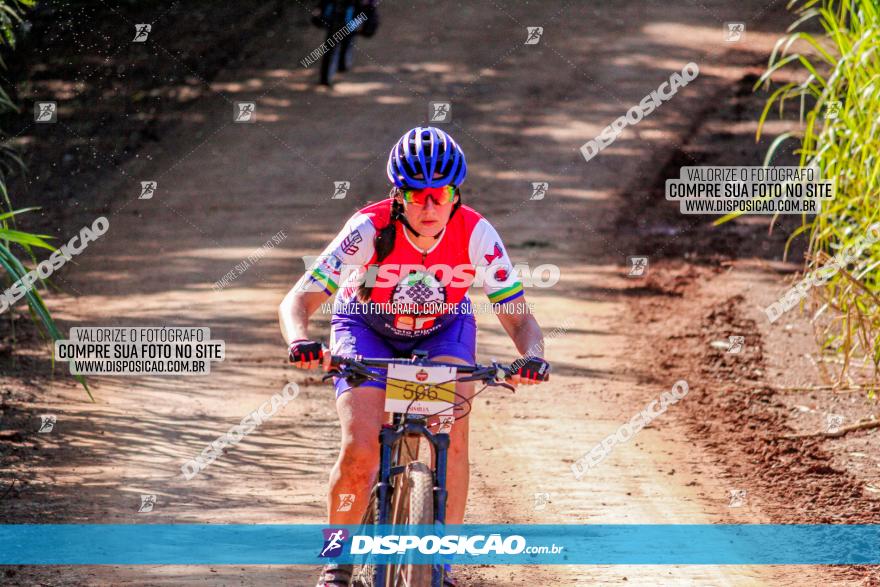 II GP Jandaia do Sul de Mountain Bike