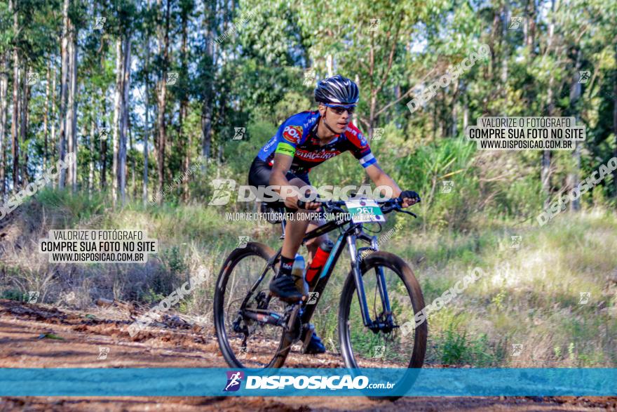 II GP Jandaia do Sul de Mountain Bike