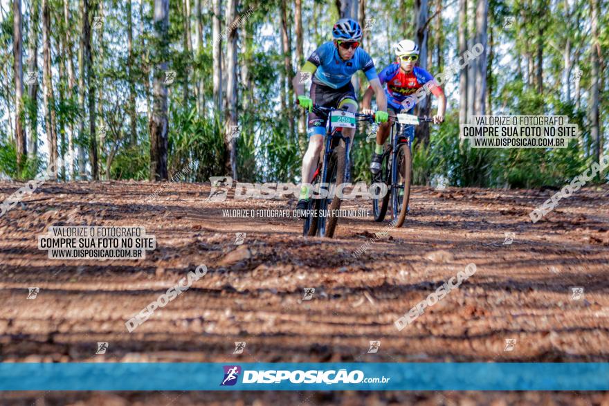 II GP Jandaia do Sul de Mountain Bike