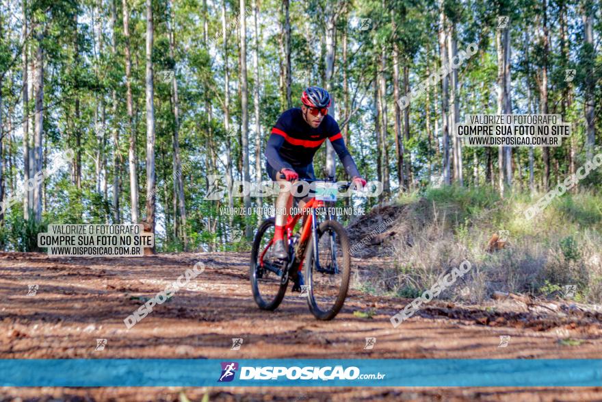 II GP Jandaia do Sul de Mountain Bike