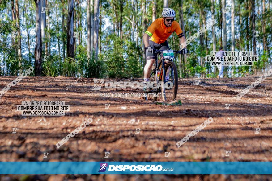 II GP Jandaia do Sul de Mountain Bike