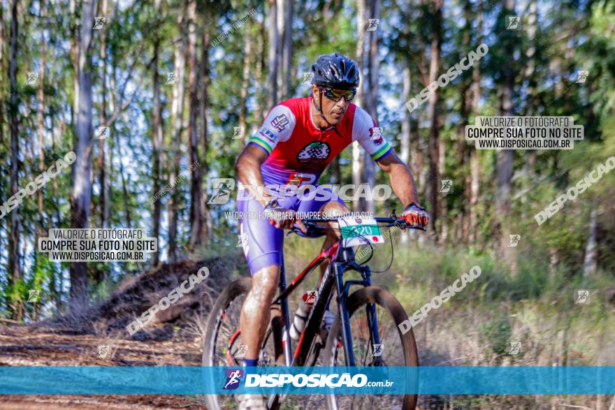 II GP Jandaia do Sul de Mountain Bike