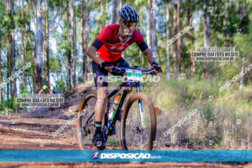 II GP Jandaia do Sul de Mountain Bike