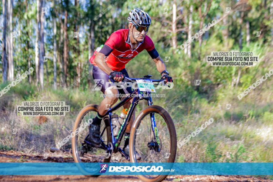 II GP Jandaia do Sul de Mountain Bike