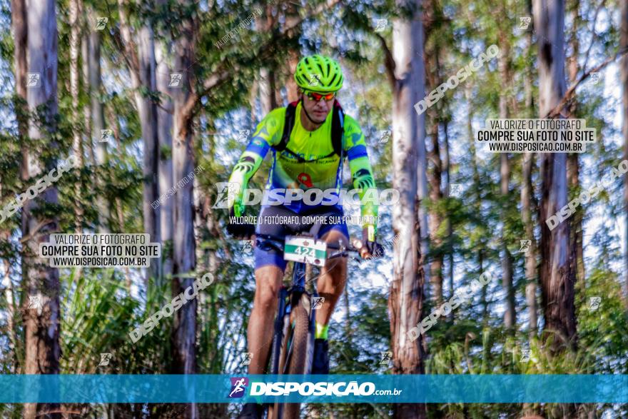 II GP Jandaia do Sul de Mountain Bike