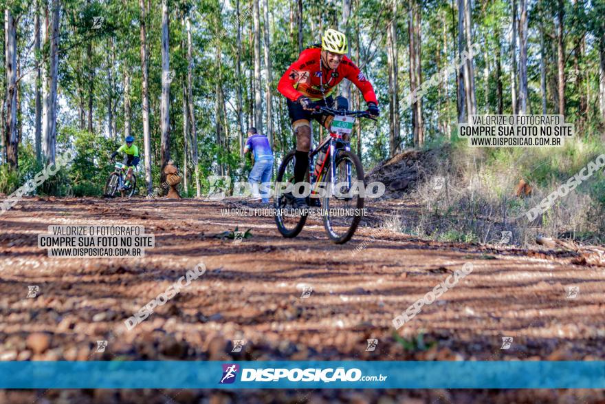 II GP Jandaia do Sul de Mountain Bike