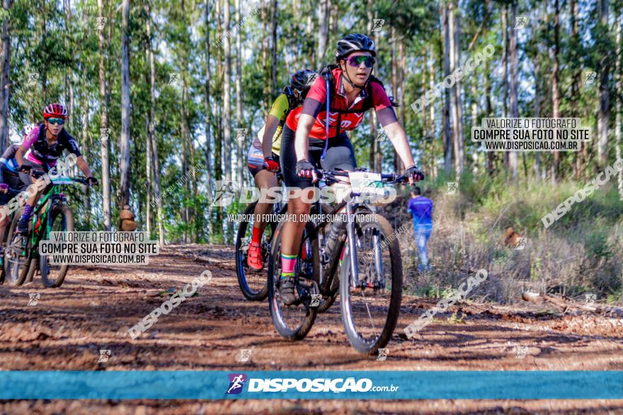 II GP Jandaia do Sul de Mountain Bike