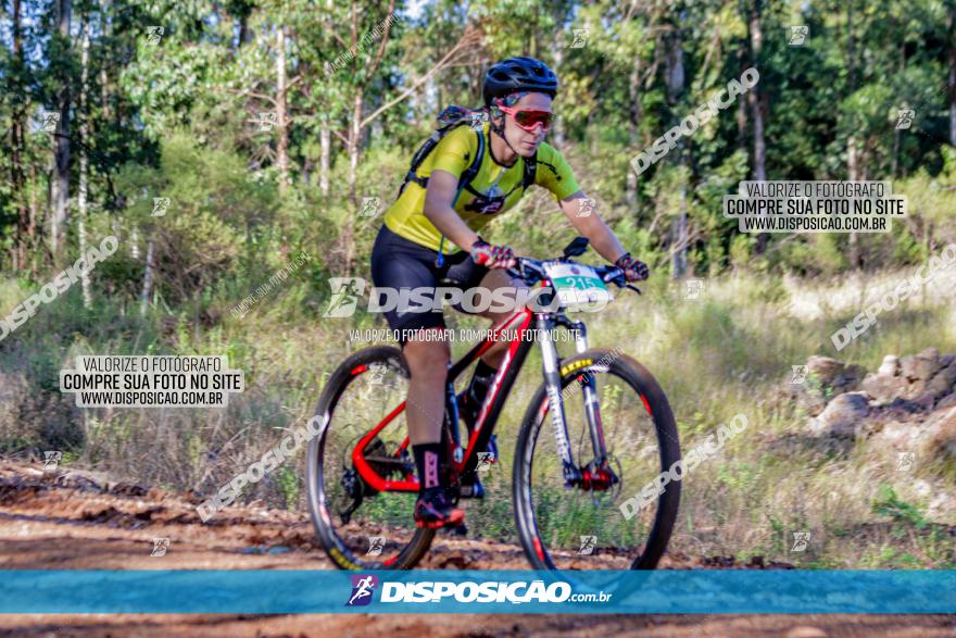 II GP Jandaia do Sul de Mountain Bike