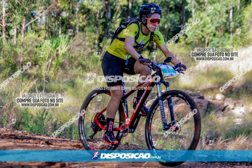 II GP Jandaia do Sul de Mountain Bike