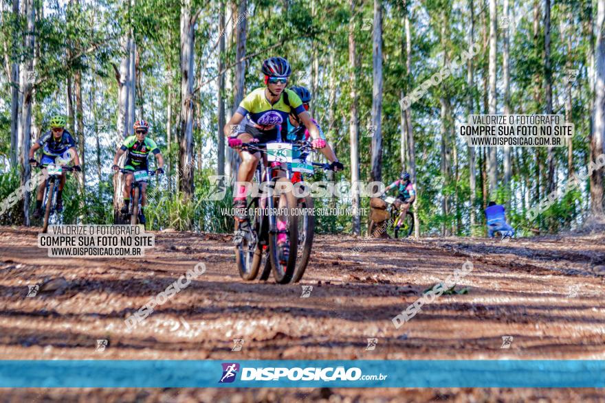 II GP Jandaia do Sul de Mountain Bike