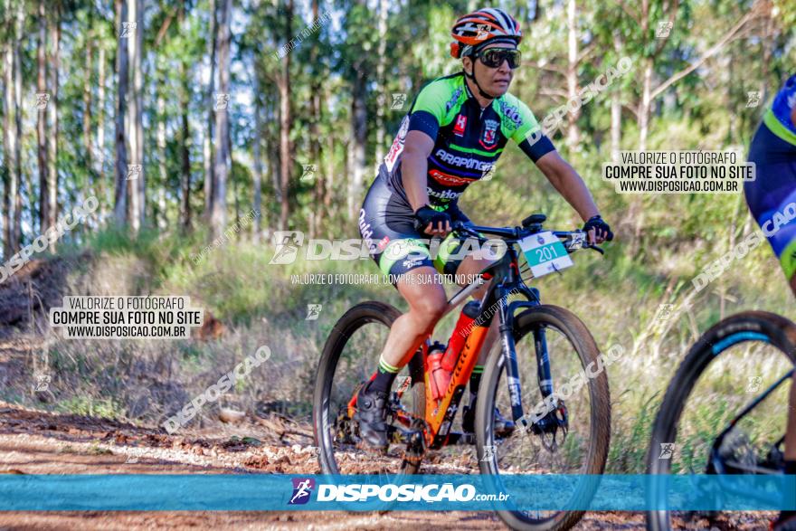 II GP Jandaia do Sul de Mountain Bike