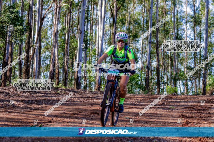 II GP Jandaia do Sul de Mountain Bike