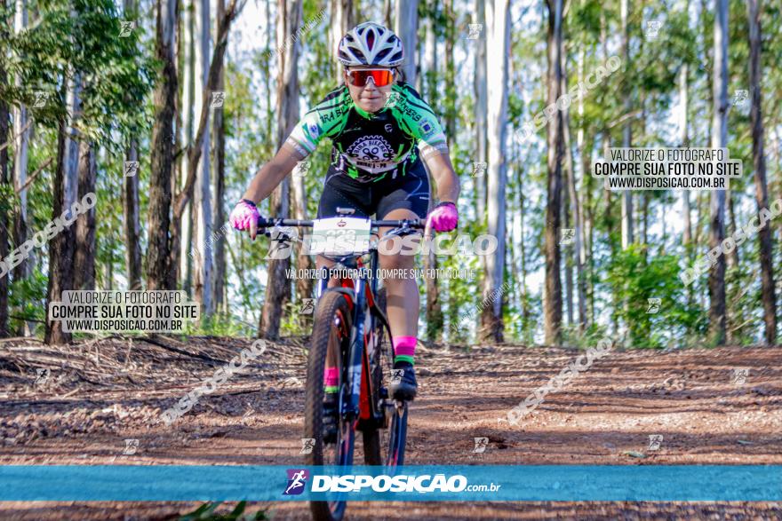 II GP Jandaia do Sul de Mountain Bike