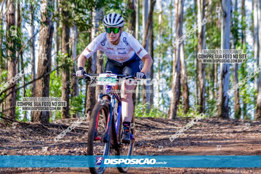 II GP Jandaia do Sul de Mountain Bike