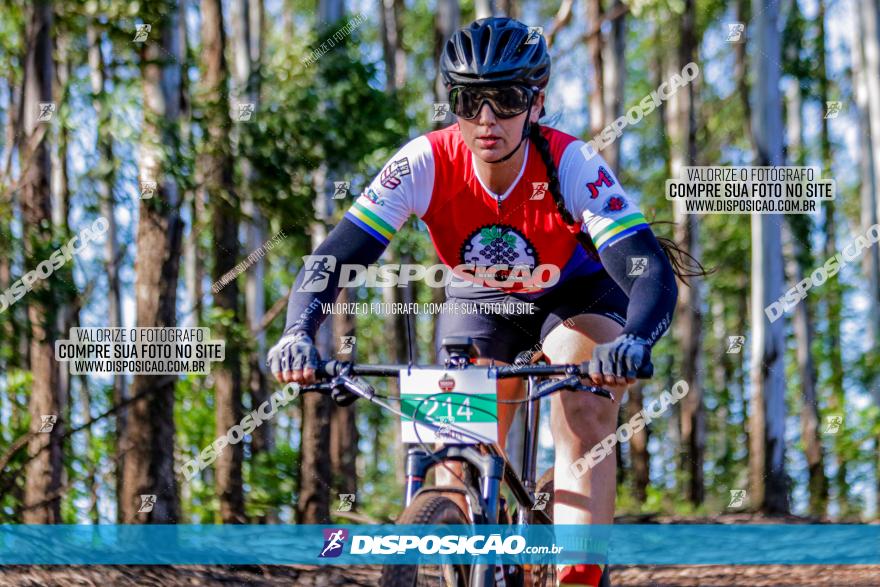 II GP Jandaia do Sul de Mountain Bike