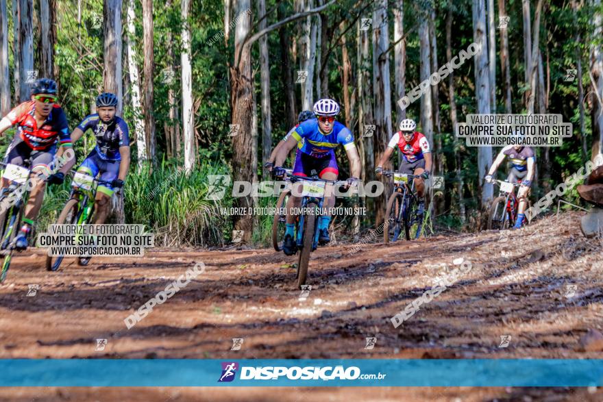 II GP Jandaia do Sul de Mountain Bike